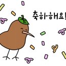 디자인키위