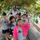 이레농장 2 이미지