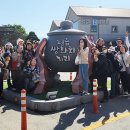정다운투어 - 남구 삼산로143번길 24 | 정다운투어