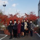 춘천고등학교 이미지