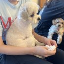 쎄쎄쎄부산 이미지