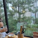 우창프라자 | 비 오는 날 아이들과 외식!무한리필집인&lt;비손샤브칼국수집&gt;내돈내산!!양주샤브맛집 찐후기🥰