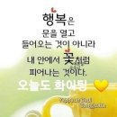 오거리약국 이미지