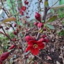 잿등공원 이미지