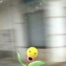 어등산등산로 이미지