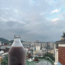 오보강 네이버블로그