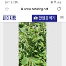 홍연2교 이미지