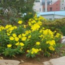 강화자연농원펜션 이미지