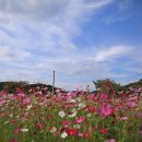 노동3리 이미지