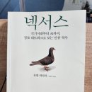 2026년 6월 메타 독서모임 후기 - 넥서스(NEXUS)