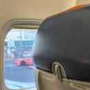 제주외가 | P가 아닐 수 없는 3박 4일 난리자베스 제주 여행