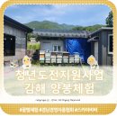 (주)원삼양봉산업 | [청년도전지원사업(경남경영자총협회)]김해 양봉체험(꿀벌체험) 참여 후기