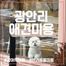 봄봄그루밍샵
