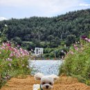 장흥군회진면보건지소 이미지