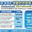 2024년 강서구 생활안전보험 안내-구민 무료로 자동 가입 이미지