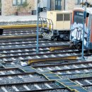 그리스장 이미지