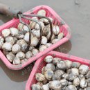 장꽁 펜션 이미지