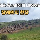 티베트 장례의식 천장 이미지