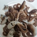 모텔스타킹 | 무창포 프로낚시 히트호 갑오징어&amp;쭈꾸미 낚시, 낚시대 대여, 바다가 주는 선물 받으러 가쥬아!