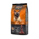 레오나르도 이미지