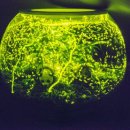 반딧불이민박 이미지