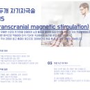 서면의숲 이미지