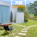 동백맨션 | 거제 독채펜션 동백맨션 거제 감성숙소