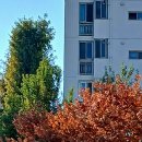 텅빈 마음을 달래려 이미지