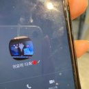 슬기로운유라생활 | 깡