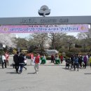 2012年4月22日제일CC벚꽃축제 이미지