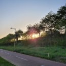 마평동쉼터 | 용인따릉이! 용인시 공유자전거 공공자전거 타조 TAZO 타는 법, 이용 방법