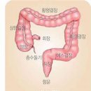 대장에 좋은 약초. 이미지