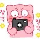 콘타이와꼬란타이 - 고양시 덕양구 고양대로 1955 | 콘타이와꼬란타이