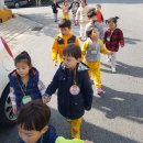 오태경로당 Daum카페