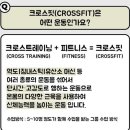 크로스핏 라곰트레이닝 인창 이미지