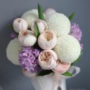 내츄럴피드라인 이미지