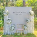 벨라(Bella) 이미지