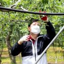 임하면행정복지센터 이미지