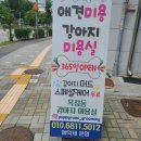 퍼피루미 옥정점 이미지