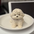 해피멍쓰데이 이미지