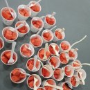 챔프복싱아카데미 이미지