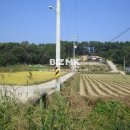 여주이포공인중개사사무소 이미지