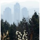 함박골 체육시설 | 10:57-안내판11:25-물만골갈림길11:32-임도11:38-함박골약수터11:43-황금약수터11:56-망미동갈림길12:36...