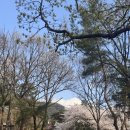 당현천 차없는거리 이미지