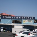 동물원야식 이미지