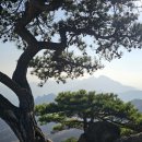 에덴동산 - 남구 | 에덴동산