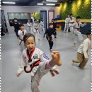 용인대우리태권도 이미지