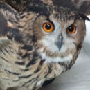 이문수농장 이미지