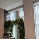 나인파티시에 | 로카우스 호텔 하객후기 남동생 결혼식