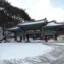 제197차 경북 김천 황악산(1,111m) / 직지사(운수암) 산행신청 이미지